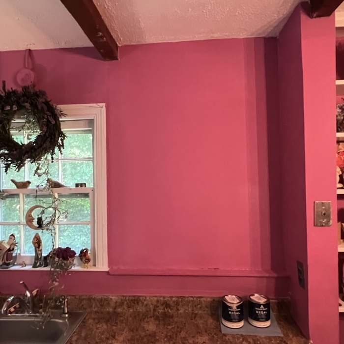 Plaster Wall Repair 