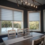 Zebra Banded Shades