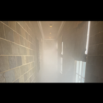 Mold Treatment