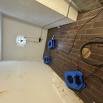 Water Mitigation