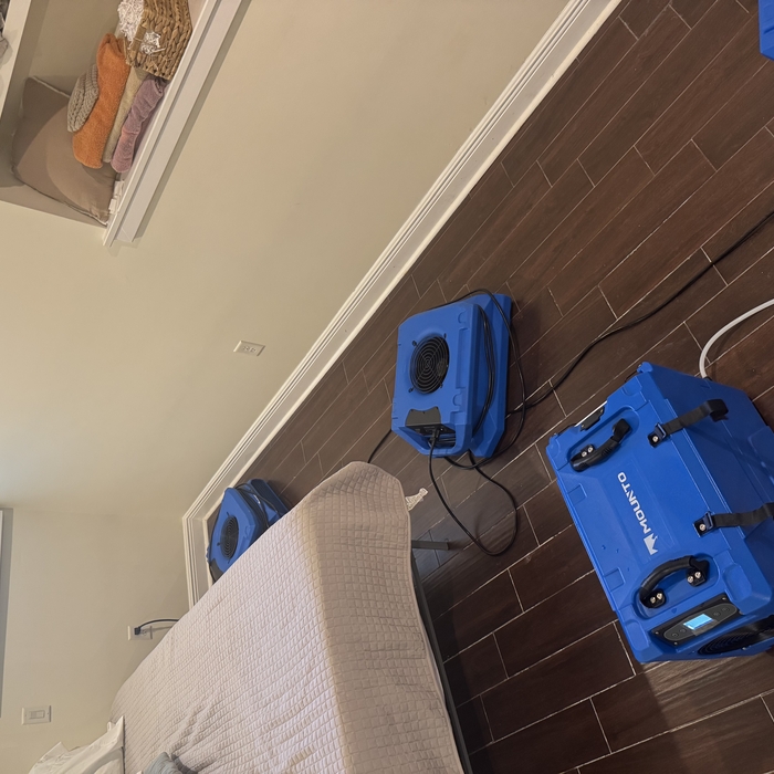 Water Mitigation