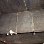 Foundation issues