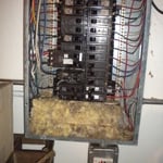 Electric panel