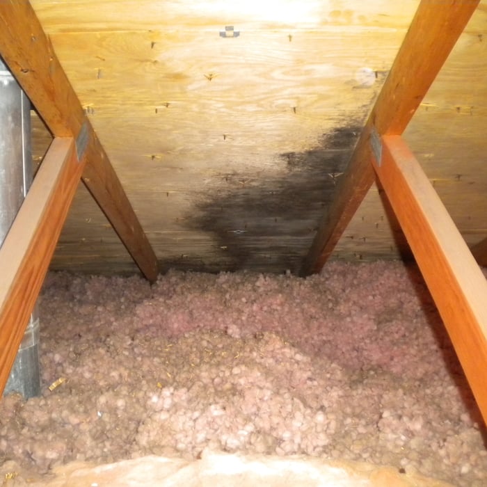 Attic problems