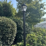 Pole light