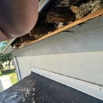 Total remodel of a duplex
