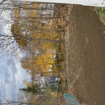 After picture