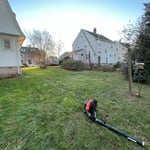 Fall Yard Cleanup