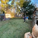 Fall Yard Cleanup