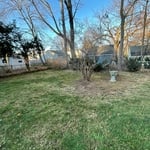 Fall Yard Cleanup