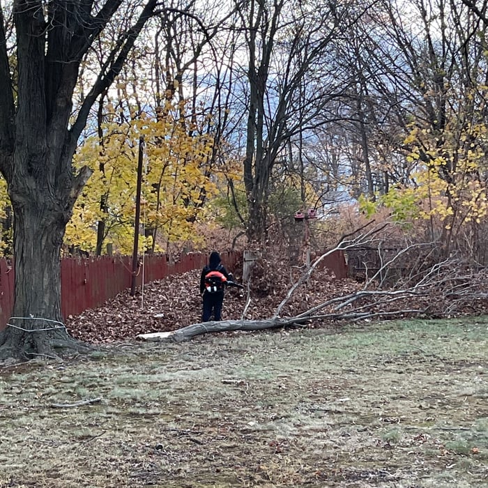 Fall Yard Cleanup