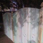 Arched Style Wood Fences