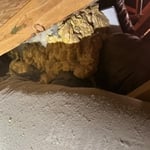 Furnace diagnostic.