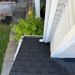 Gutter Cleaning