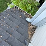 Gutter Cleaning