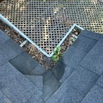 Gutter Cleaning