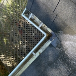 Gutter Cleaning