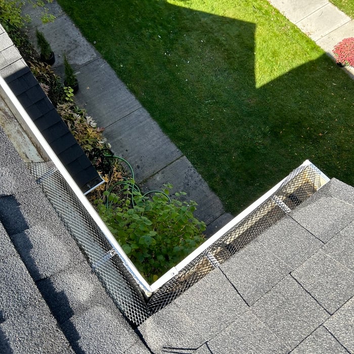 Gutter Cleaning