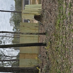 Wooden fence