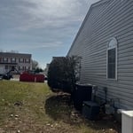 Removing trees