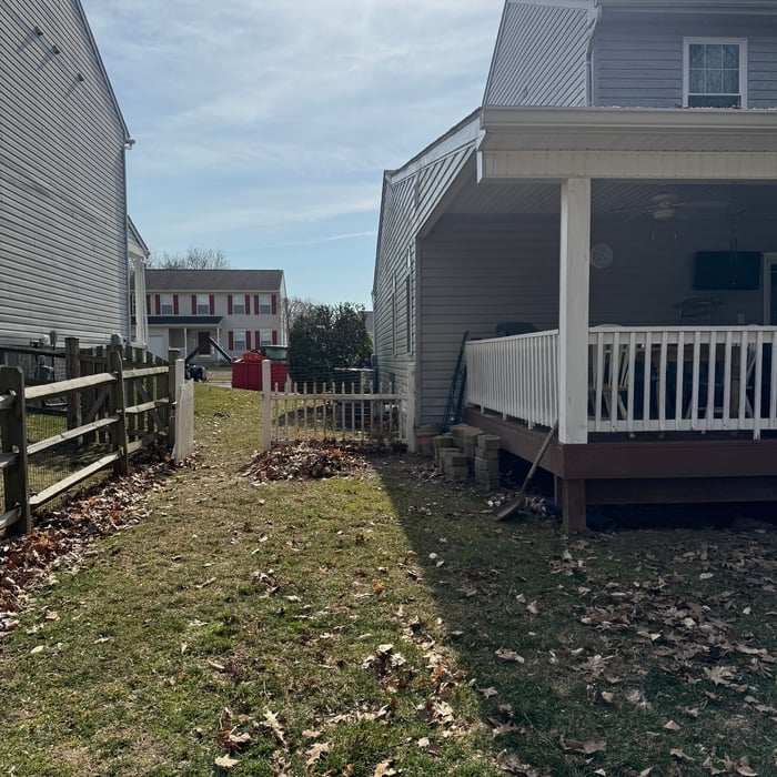 Removing trees