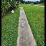 sidewalk