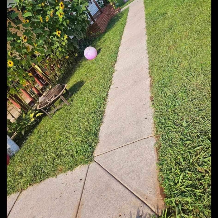 sidewalk