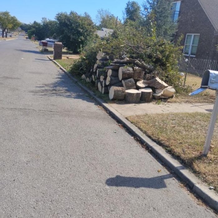 Laz tree services