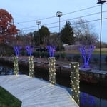 Oakdale Christmas lights
