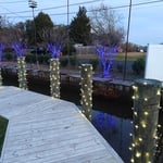 Oakdale Christmas lights