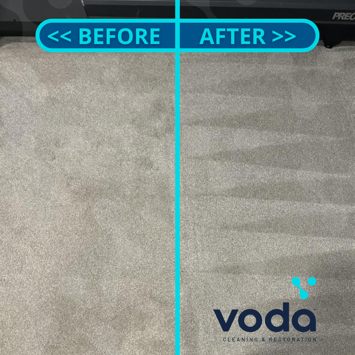 Carpet Cleaning