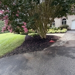 Full mulch restoration