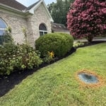 Full mulch restoration