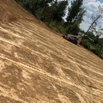 Site Prep
