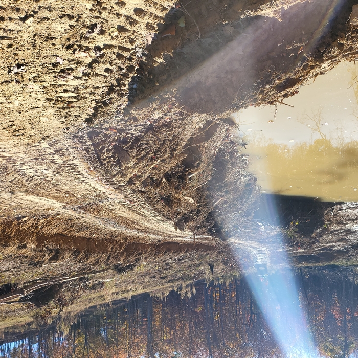 Pond Installation