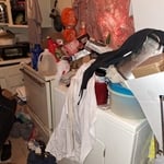 Before