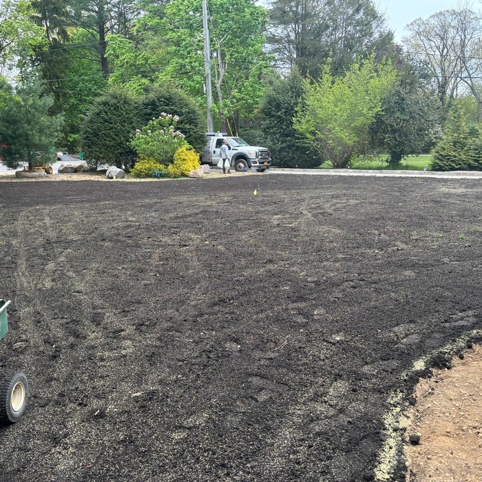 Top Soil