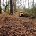 Land clearing