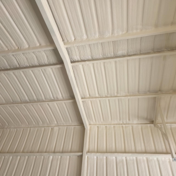 What We Can Do For You