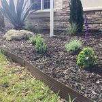 Project Photos