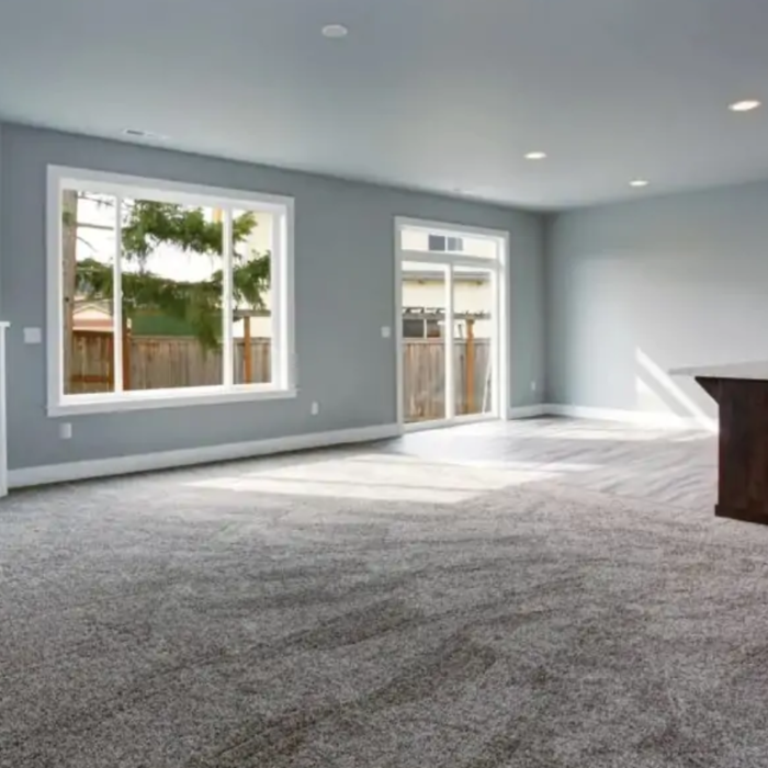 Move-out Carpet Cleaning