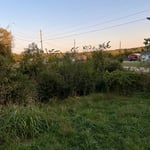 Land Clearing