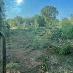 Land Clearing