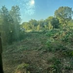 Land Clearing
