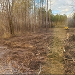 Hazel Green Homesite