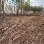 Hazel Green Homesite