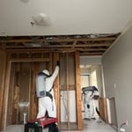 Mold Remediation