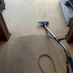 20 year old carpet