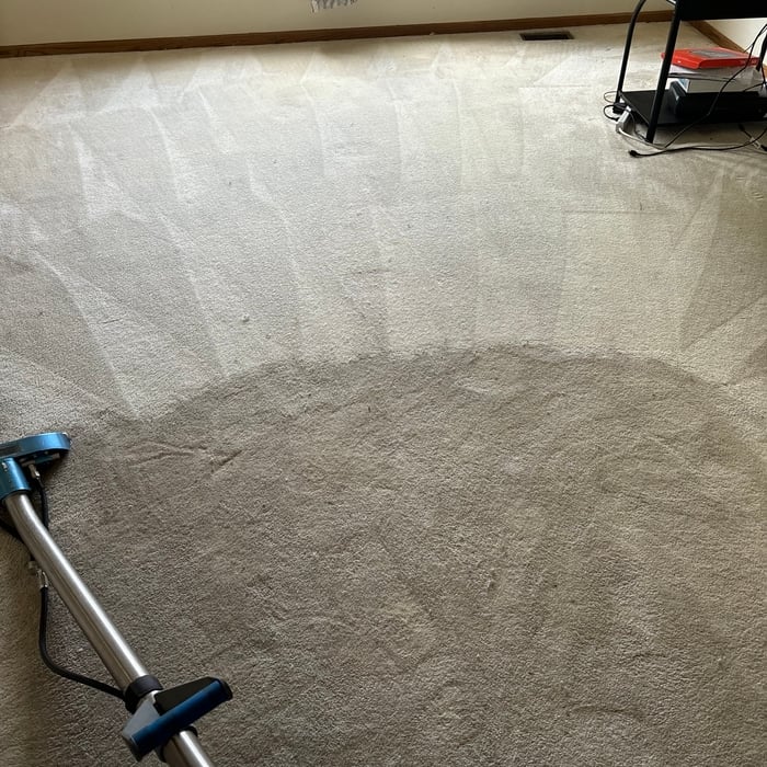 carpet cleaning