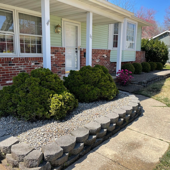 single home lawn care